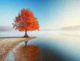 自​适﻿应​控‌制﻿ 知‍乎﻿